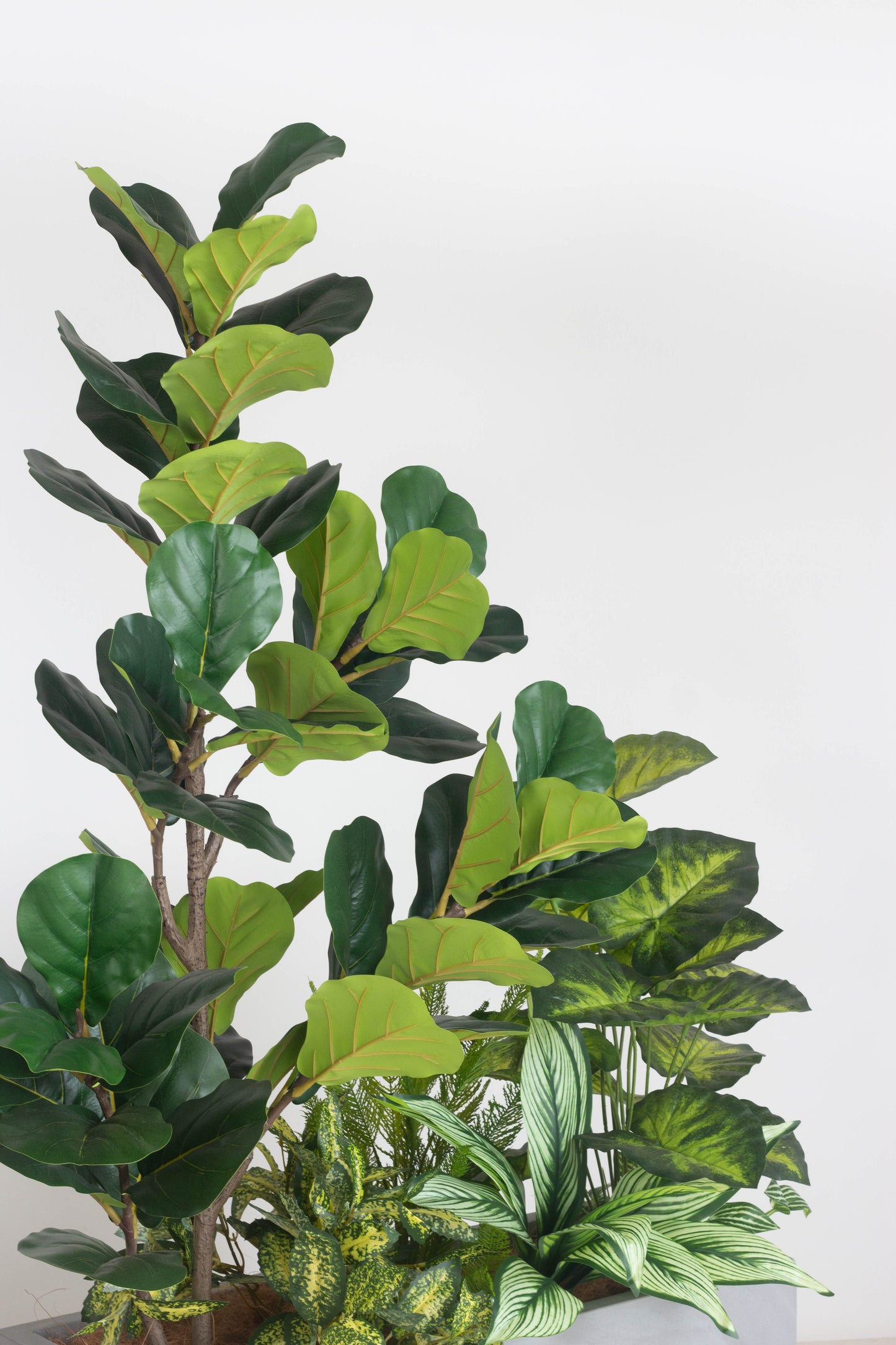 Urban Grove - Faux Plants