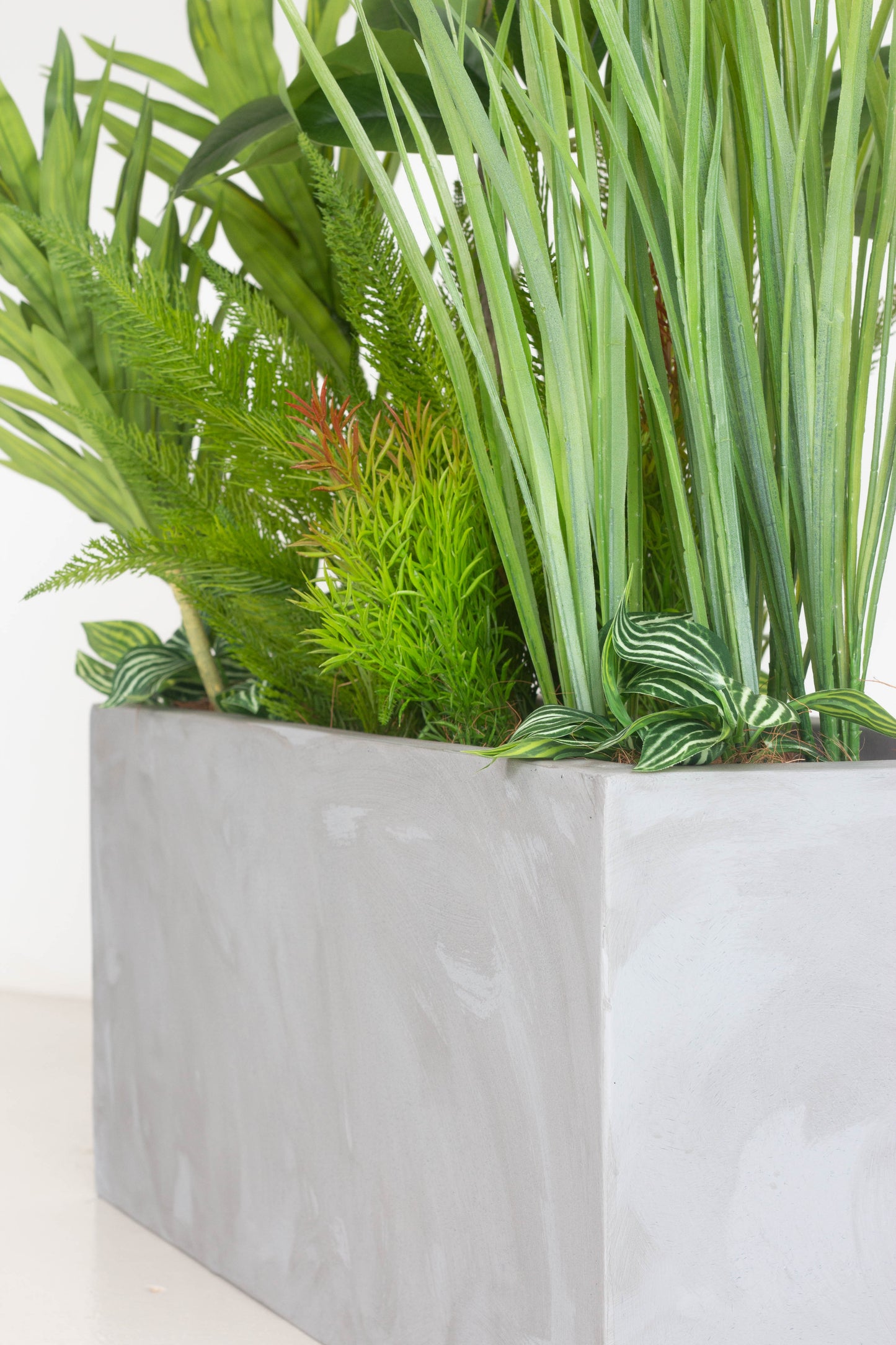 Fortune Canopy - Faux Plants