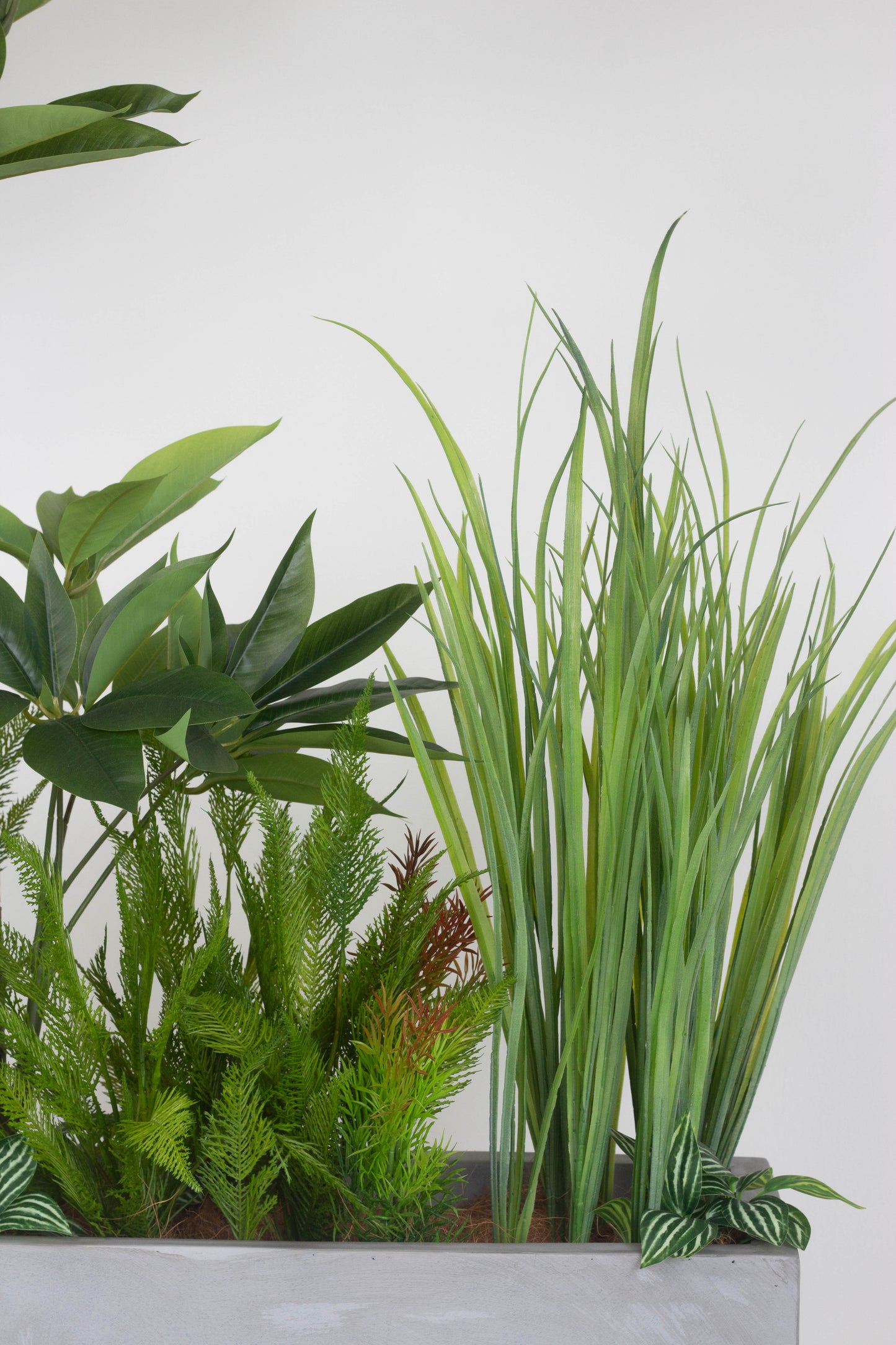 Fortune Canopy - Faux Plants