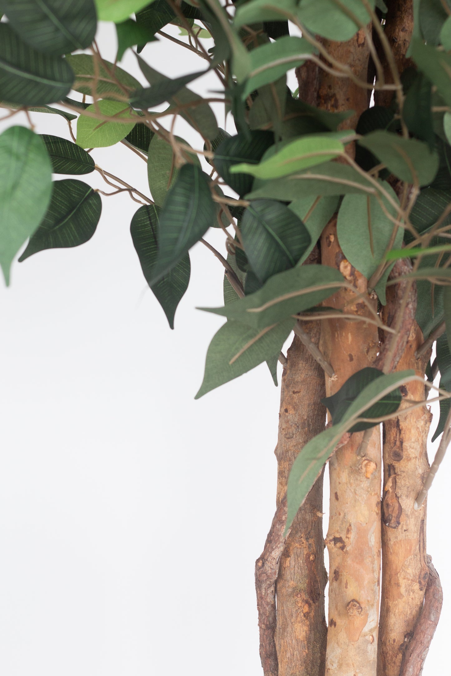 Faux Fig Tree