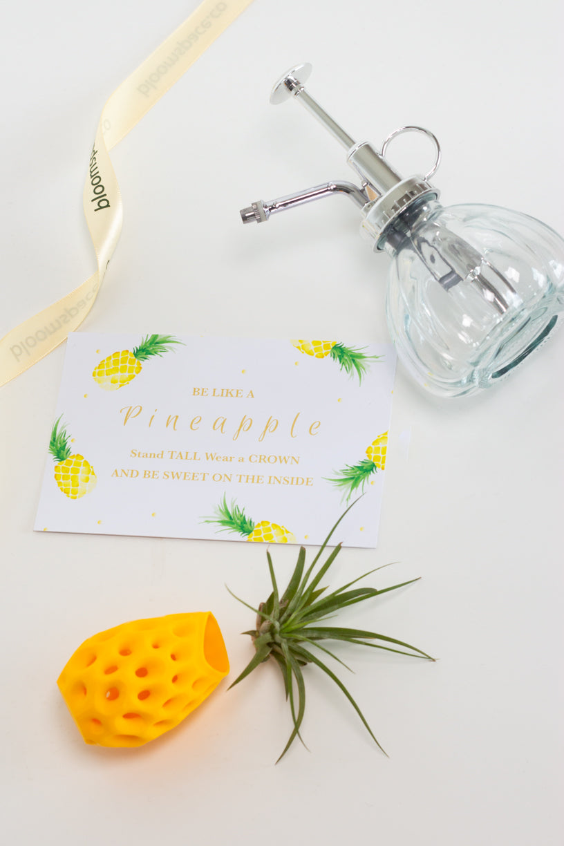 Airplant Pineapple