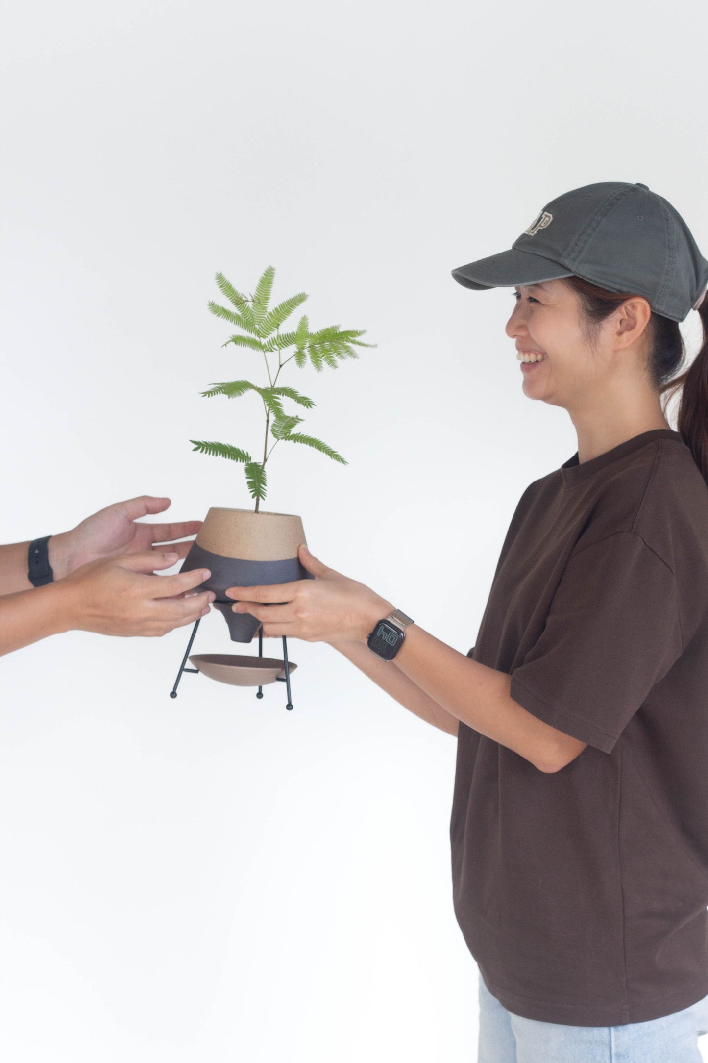 Everfresh Tree – Bloomspace
