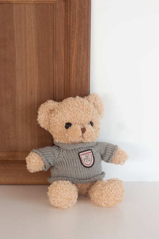 Smart Teddy