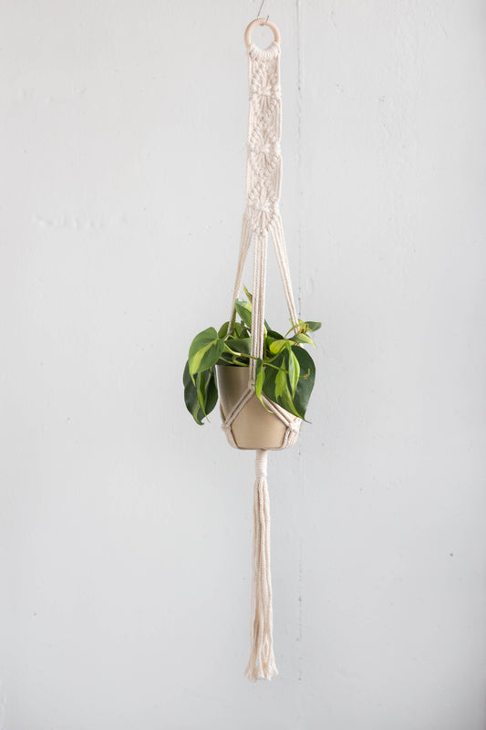 Macrame Plant Hanger