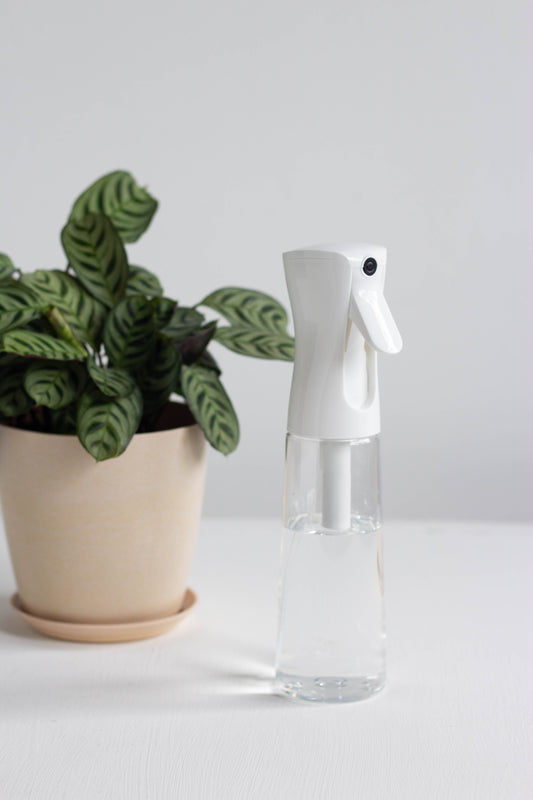 Misting Spray Bottle