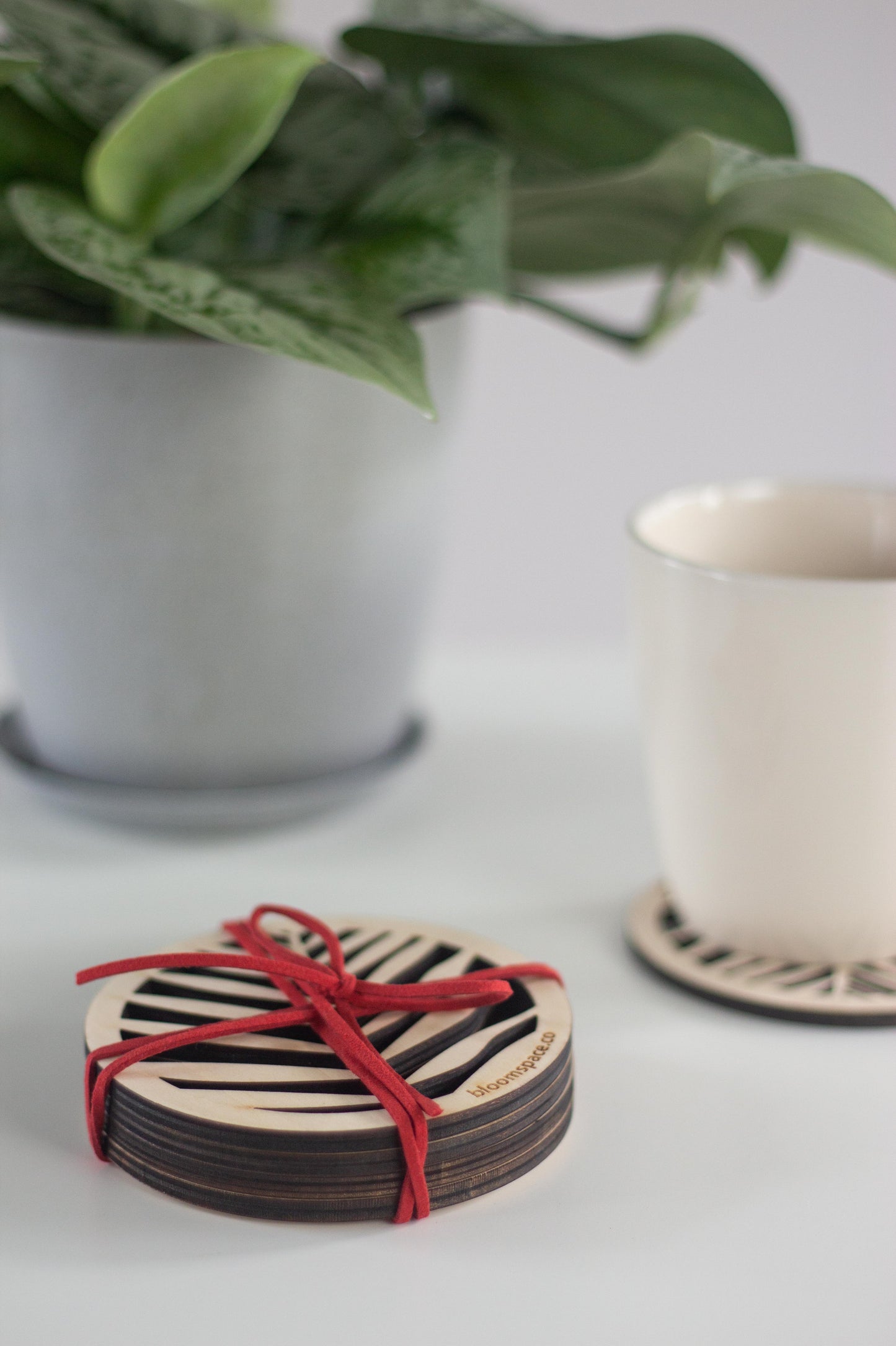 Plant Wooden Coasters