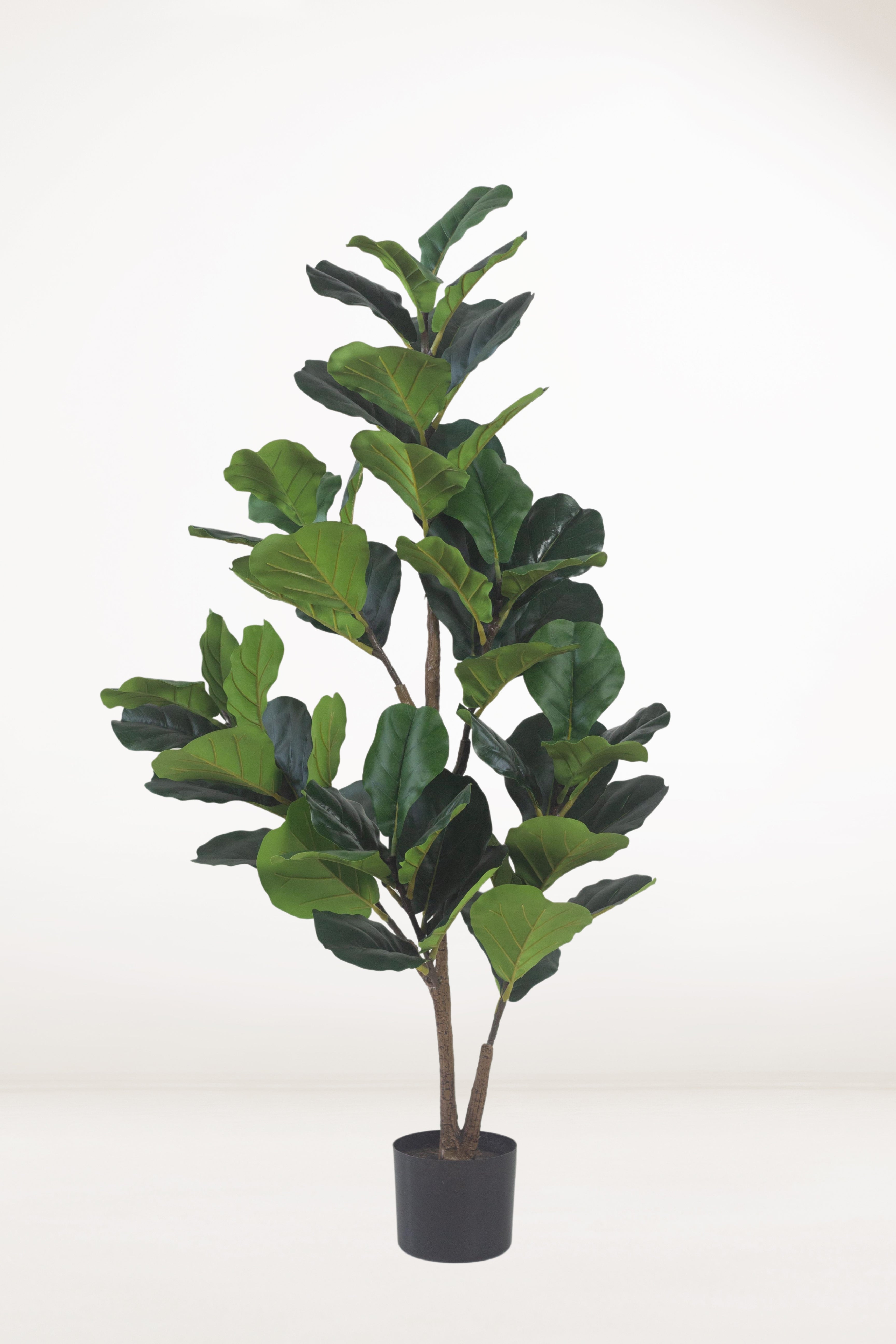 Faux Fiddle Leaf Fig Bloomspace