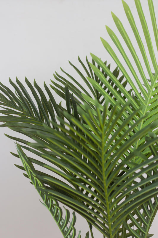 Faux Areca Palm