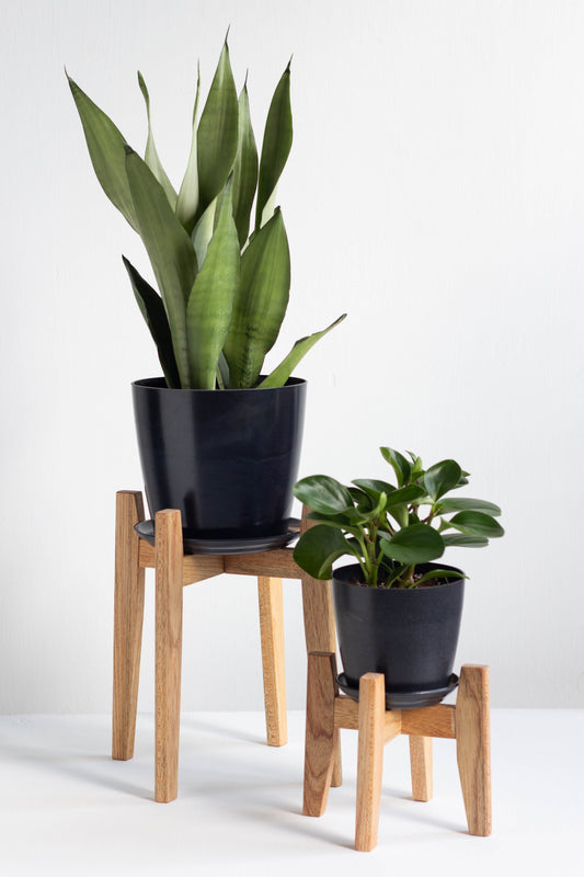 Plant Stand