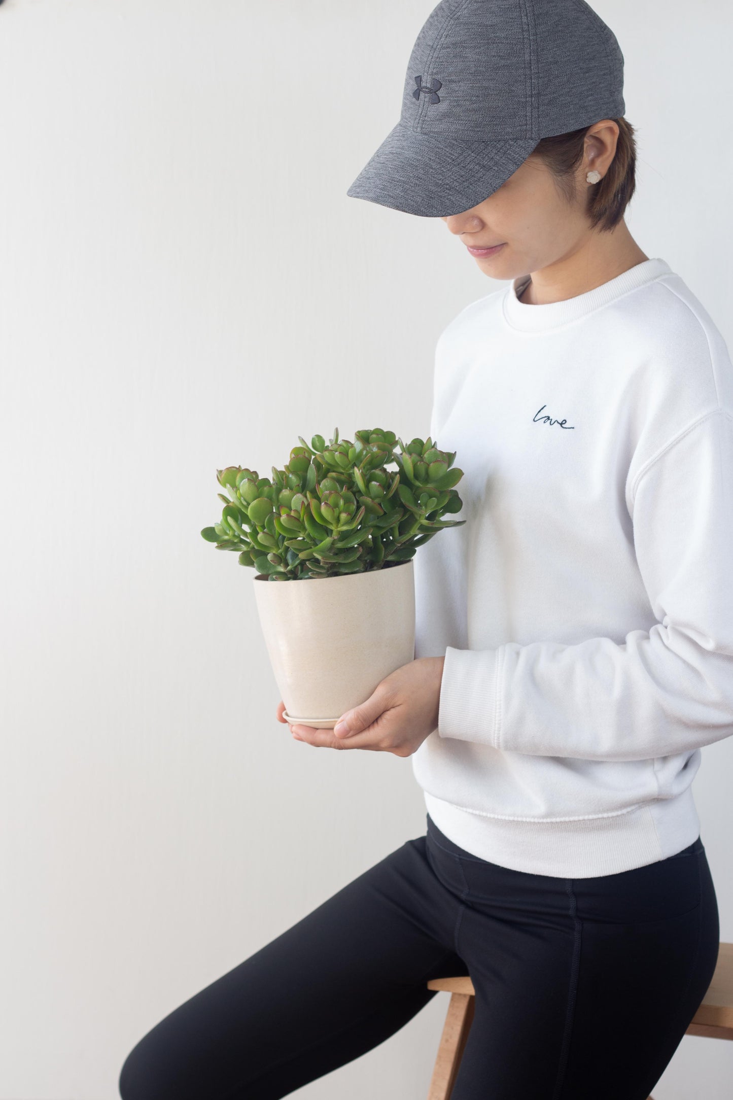 Jade Plant