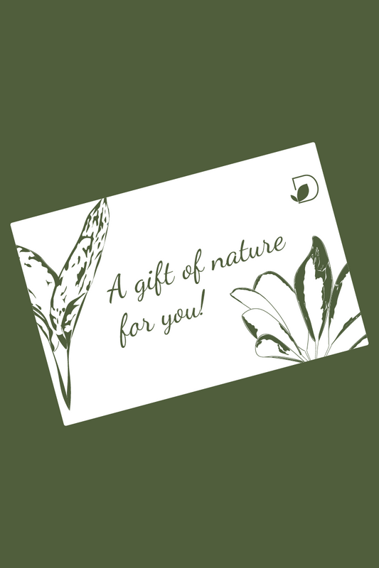 E-Gift Card